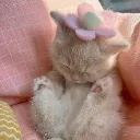 [INACTIVE] /calming  ✿  .  .   •͈ᴗ•͈    ๑  health, chill, cute emojis