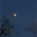 made in heaven Discord Server