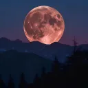 패배자들의 유언