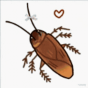 Sra9 Zit Discord Server Icon