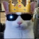 Kings Kingdom ⋆｡°✩ Discord server icon