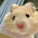 HAM Tag