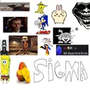 Sigma SERVER