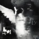 Fly