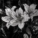 Azalea  ၄၃