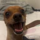 ARC (partners needed)