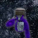 Project Galaxy!