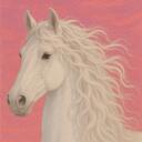 The Dressage Federation Discord Server Icon