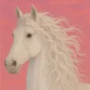 The Dressage Federation
