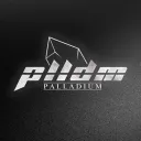 PALLADIUM CORP