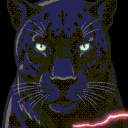 PANTHERA COMMUNITY