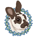 Critters & Creations