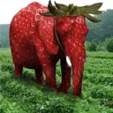 10 lnvites = Strawberry Elephant