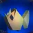 the chaos crew Discord server icon