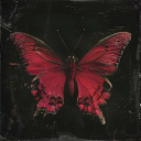 𝘊𝘵𝘳𝘭𝘈𝘭𝘵𝘊𝘩𝘪𝘭𝘭 Discord server icon