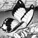 Death Veil Manga