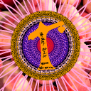 복숭아교단 [복숭아 숭배] Discord server icon