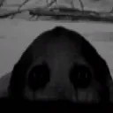 adgag