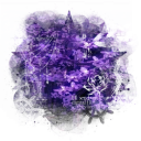 ⌢ 　 nightshades garden.　　⚘ Discord server icon