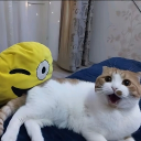 humanoid's server of stupidity Discord server icon