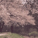 🤍○♡ᗰYᑕᕼ&ᗩᒪᒪYՏ 𝒮𝒸𝒽𝑜𝑜𝓁 𝒪𝒻  𝐹𝓇𝒾𝑒𝓃𝒹𝓈𝒽𝒾𝓅 -Friend Finder♡○🤍 Discord server icon