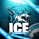 ORG ICE
