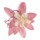 ’．．itoshi ．#social．#health ．#t... Discord Server Icon