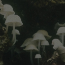 The Moss Discord server icon