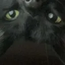 Kiki Nation