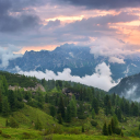 Of Denarii: a Generic Antiquity NRP Discord server icon