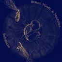 Brains Minds & Machines