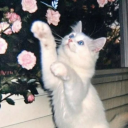 Cupid and grim server Discord server icon