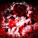﹒⁺₊˚ ཐི   ݁ ✦　˚ Scarlet Citadel 　⑅　dj2l　˚　𐄂  ཋྀ ˚₊⁺ ﹒