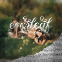 everleaf  entertainment 🍃 | #closed Discord server icon