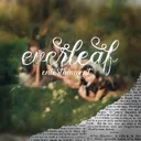 everleaf  entertainment 🍃 | #closed