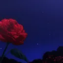 ✨ 𝙰𝚞𝚜𝚝𝚛𝚢𝚊 / 𝙰𝚗𝚊𝚗𝚘𝚞𝚛𝚒 𝚁𝙿 - S5🌹