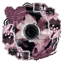 𓎟𓎟 ㆍ /adores 𓏴 🕷 #REVAMP #STAFFAPPS