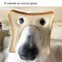 Тут не любят icebox | Loading stream's