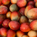 The Island🥭🍃 Discord server icon