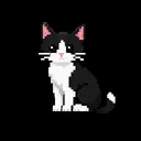 Meows Community