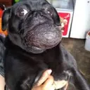 Chonchuuu