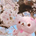 ❛🌸ৎ   ₊ 𝒎aeyr 𓂅 (｡ﹷ ‸ ﹷ ✿)