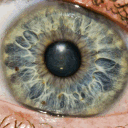 theesoulz Discord server icon