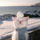 happy meadow Discord server icon