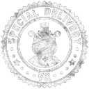 Special Delivery: VR Server