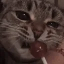 𝓚𝓞𝓒𝓘𝓐𝓚𝓞𝓦𝓞