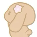 dumi ୨୧