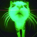 Junkyard Discord Server Icon