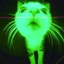 Junkyard Discord Server Icon