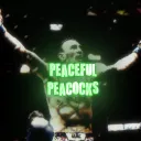 Peaceful Peacocks MMA 🦚 ☮